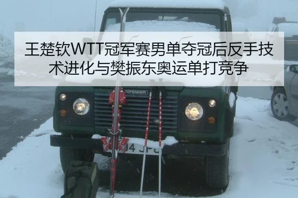 王楚钦WTT冠军赛男单夺冠后反手技术进化与樊振东奥运单打竞争